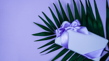 Gift box with a bow with palm leaves. Lilac and purple background. Celebration.
