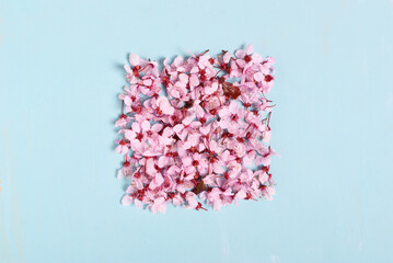 Fototapeta premium Spring flowers in square shape on blue background.
