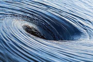 The raging whirlpool. Huge whirlpool on water surface. Water spinning