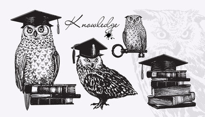 Owl, books, key, keeper of knowledge. A set of silhouettes of birds in an academic cap. Vector illustration in vintage style.