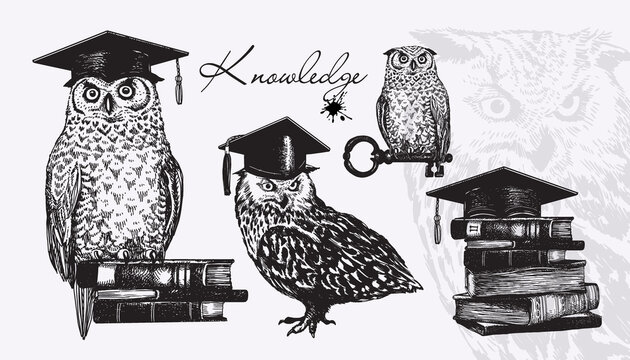 Owl, books, key, keeper of knowledge. A set of silhouettes of birds in an academic cap. Vector illustration in vintage style.