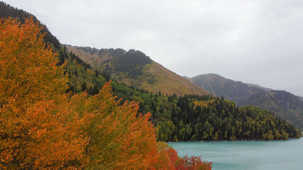 alpine lake, autumn, bright colors, top view