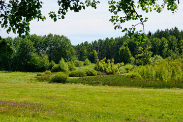 Obraz premium Das NSG Bischofswaldung mit Stedtlinger Moor, Biosphärenreservat Rhön, Gemeinde Rhönblick, Thüringen, Deutschland