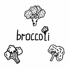 set of broccoli in doodle style