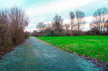 footpath in the park