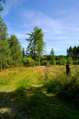 Das NSG Bischofswaldung mit Stedtlinger Moor, Biosphärenreservat Rhön, Gemeinde Rhönblick, Thüringen, Deutschland