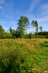 Das NSG Bischofswaldung mit Stedtlinger Moor, Biosphärenreservat Rhön, Gemeinde Rhönblick, Thüringen, Deutschland