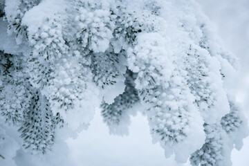 Fototapeta premium 冬山の景色