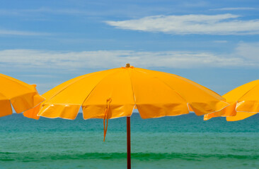 Yellow beach parasols