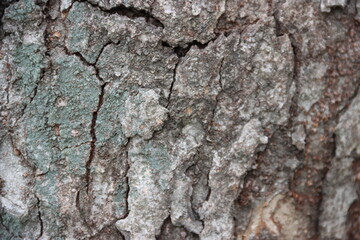 색연필