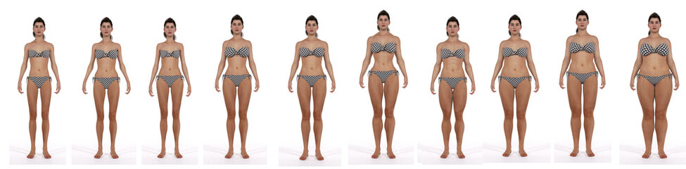 3D Render : the diversity of female body shape including  ectomorph (skinny type), mesomorph (muscular type), endomorph(heavy weight type) ,front view