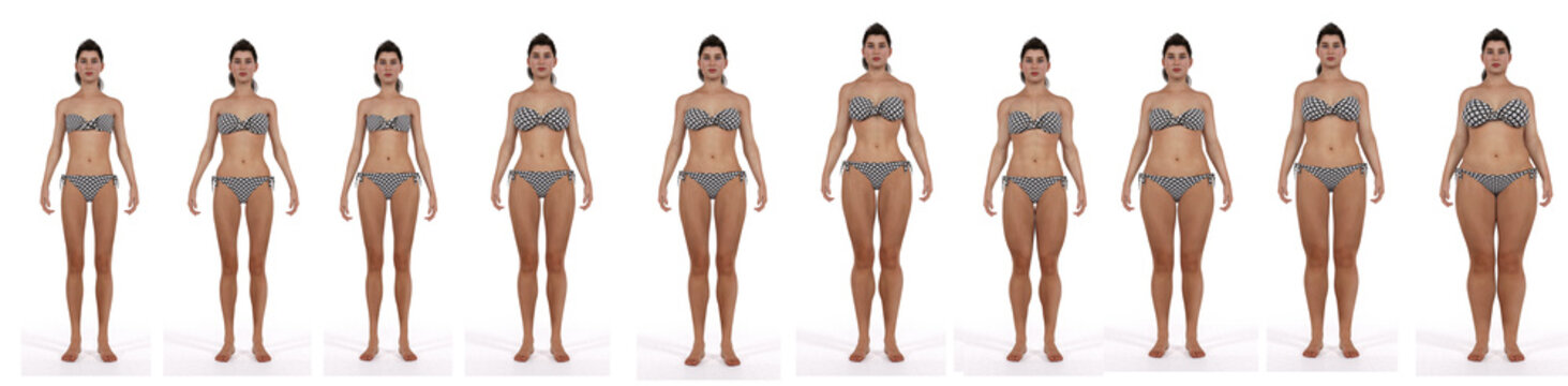 Woman body in different weight categories. Illustration of female