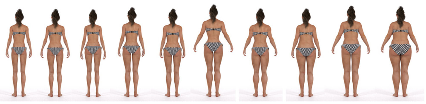 3D Render : the diversity of female body shape including  ectomorph (skinny type), mesomorph (muscular type), endomorph(heavy weight type), back view