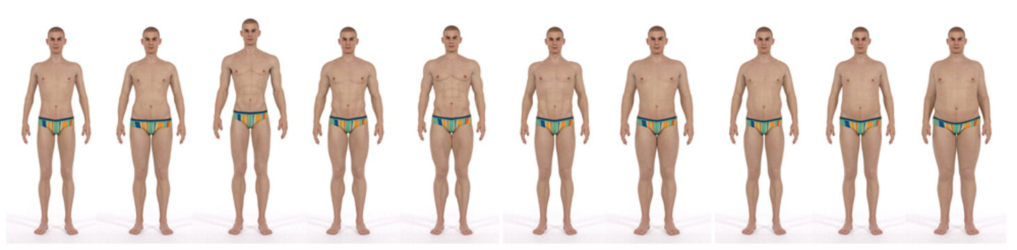 3D Render : the diversity of male body shape including  ectomorph (skinny type), mesomorph (muscular type), endomorph(heavy weight type), front view