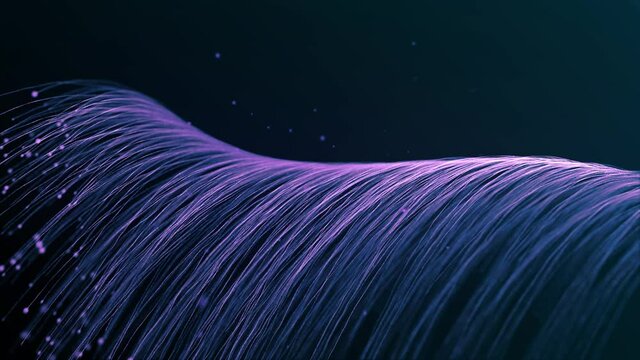 Many PURPLE LINES FORM wave and disappear. Use for background. GLOW PARTICLES orange lines. SPIRAL structures. LIGHTING effects. Animation. Gradient. Futuristic. BLUE dark background.