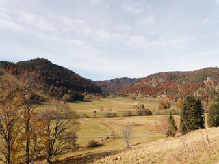 Fototapeta premium Menzenschwand im Südschwarzwald. Idyllisch malerisch Naturschutzgebiet am Südhang des Feldberges. Berge, Wälder und unberührte Wiesen in Herbstfarben