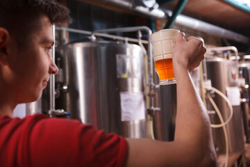 Rear view cropped shot of a male brewer holding beer glass, examining quality of a beverage
