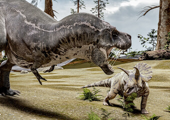 T-Rex against Triceratops in the woods, Version 2, 3D-Rendering, illustrated © Martin