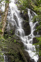 Fototapeta na wymiar Beautiful waterfall in tropical rain forest. Costa Rica