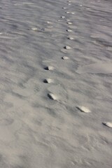 Fototapeta na wymiar footprints in the snow