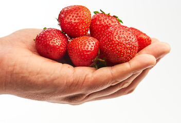 Obraz premium handful of strawberries