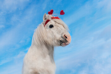 Lovely white pony with red hearts on its head
