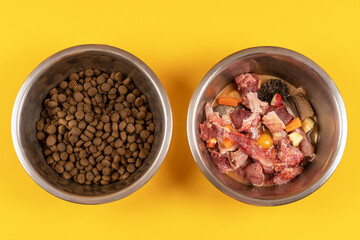 Two bowls with dog food, processed and natural stuff. Comparing of different kind of diet. The...