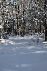 Mont Ham 2 Au 8 Janvier 2022