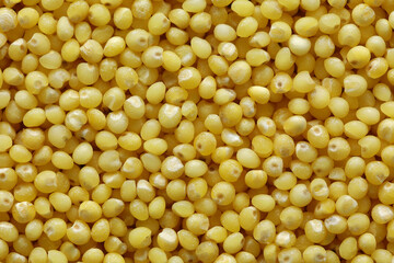 Yellow millet background. Close up top view