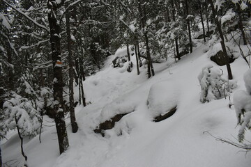 Mont Ham 2 Au 8 Janvier 2022