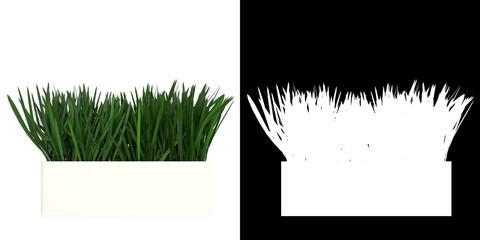 3D rendering illustration of grass in a pot