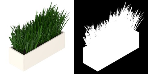 3D rendering illustration of grass in a pot