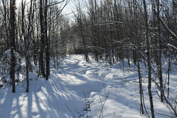 Mont Ham 2 Au 8 Janvier 2022