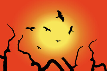 Fototapeta na wymiar silhouette of falcons flying over the sunset. falcons silhouette illustration.
