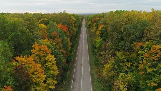 Aerial video of autumn forest and road
