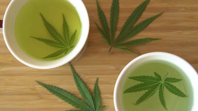 TOP DOWN, CLOSE UP: Fragrant medicinal marijuana leaves are soaked inside white cups in boiling hot water to make refreshing herbal tea. Brewing two cups of therapeutical homegrown indica weed tea.