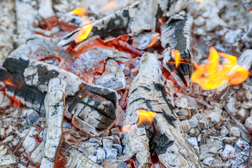Texture fire bonfire embers.Charcoal on fire. Burning firewood. Orange flame.