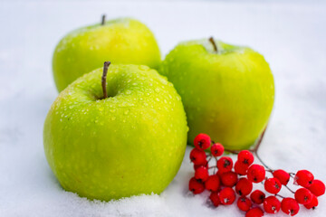 Green apples lie on the snow with a sprig of red rowan berries