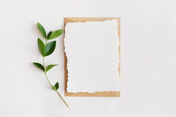 Mock-up of blank paper card with green leaves and envelope on white background. Flat lay, top view with copy space for text