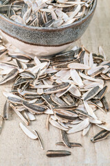 leftovers of eaten sunflower seed pods pile