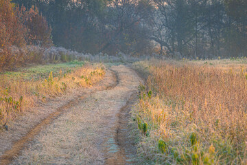 Curved path in the autumn field with frozen dry grass toward the forest 