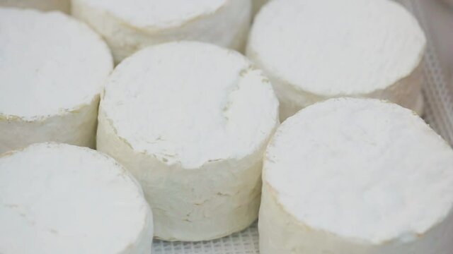 Camembert cheese on the counter. Camembert brie cheese in a transparent container. Dairy product sales concept