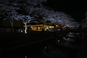 travel,japan,trip,samurai