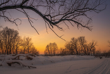 Winter sunset over frozen river and silhouettes of bare trees 