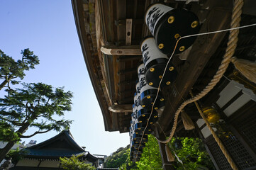 Japan Shrine,Temple,Onsen,festival