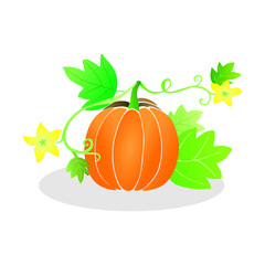 pumpkin with leaves