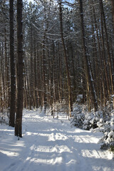 Mont Ham 2 Au 8 Janvier 2022