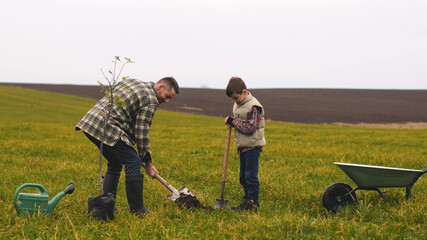 The dad with his little son planting a tree in the field
