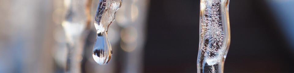 Banner with icicles in the rays of the winter sunset. Focus on icicle. A drop of melted snow in...