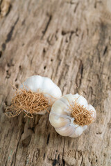 garlic on a wooden background